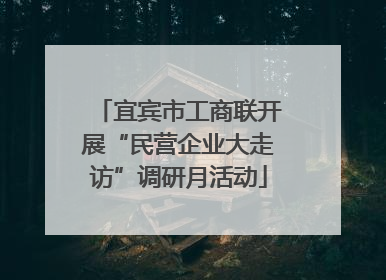 宜宾市工商联开展“民营企业大走访”调研月活动