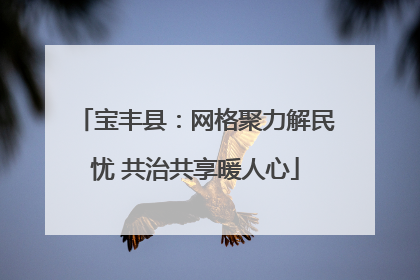 宝丰县：网格聚力解民忧 共治共享暖人心