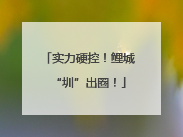 实力硬控！鲤城“圳”出圈！