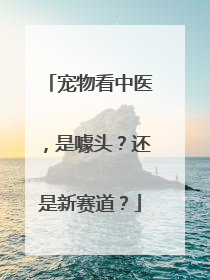 宠物看中医，是噱头？还是新赛道？