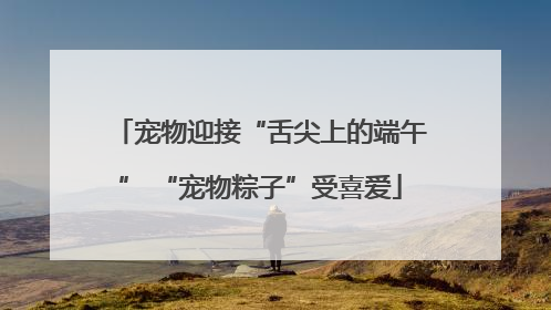 宠物迎接“舌尖上的端午” “宠物粽子”受喜爱