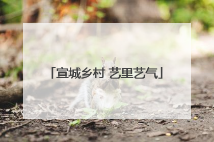 宣城乡村 艺里艺气