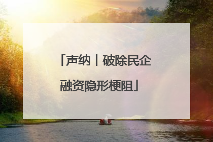 声纳丨破除民企融资隐形梗阻