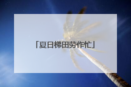夏日梯田劳作忙