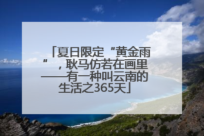 夏日限定“黄金雨”，耿马仿若在画里——有一种叫云南的生活之365天