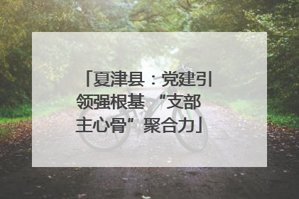 夏津县：党建引领强根基 “支部主心骨”聚合力