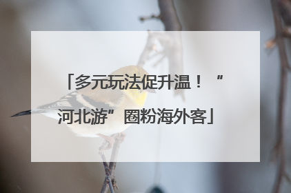 多元玩法促升温！“河北游”圈粉海外客