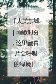 大美东城｜雨歇时分，这里藏着一片会呼吸的绿境