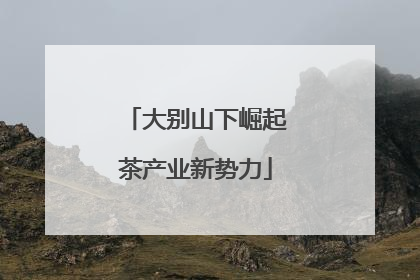 大别山下崛起茶产业新势力