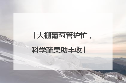 大棚葡萄管护忙，科学疏果助丰收