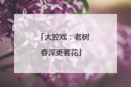 大腔戏：老树春深更著花