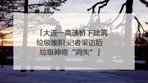 大连一高速桥下建筑垃圾堆积 记者采访后垃圾神奇“消失”