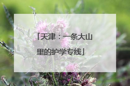 天津：一条大山里的护学专线