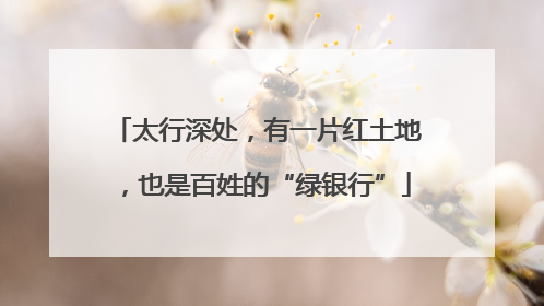 太行深处，有一片红土地，也是百姓的“绿银行”