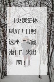 央媒集体刷屏！日照这座“宝藏港口”火出圈！