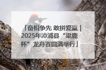 奋楫争先 敢拼爱赢｜2025年漳浦县“梁鹿杯”龙舟赛圆满举行