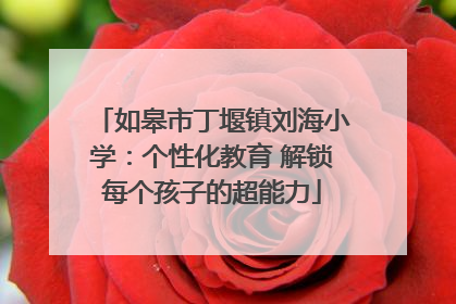 如皋市丁堰镇刘海小学：个性化教育 解锁每个孩子的超能力