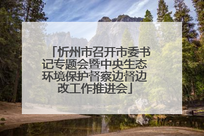 忻州市召开市委书记专题会暨中央生态环境保护督察边督边改工作推进会