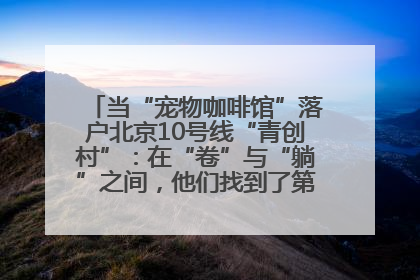 当“宠物咖啡馆”落户北京10号线“青创村”：在“卷”与“躺”之间，他们找到了第三种生活公式
