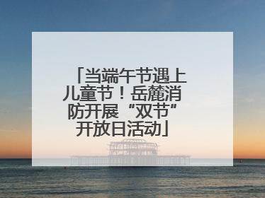 当端午节遇上儿童节！岳麓消防开展“双节”开放日活动