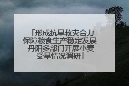 形成抗旱救灾合力 保障粮食生产稳定发展 丹阳多部门开展小麦受旱情况调研