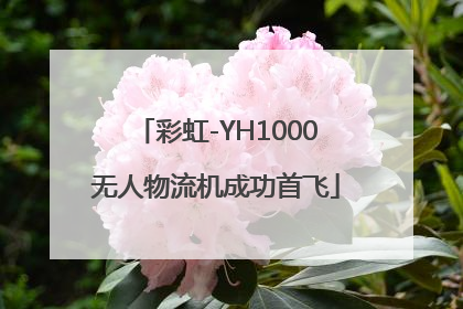 彩虹-YH1000无人物流机成功首飞