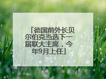德国前外长贝尔伯克当选下一届联大主席，今年9月上任