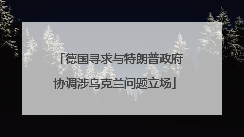 德国寻求与特朗普政府协调涉乌克兰问题立场