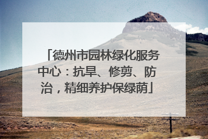 德州市园林绿化服务中心：抗旱、修剪、防治，精细养护保绿荫