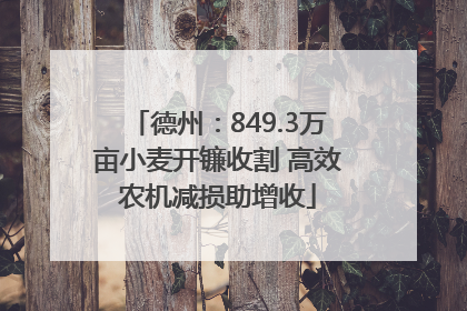 德州：849.3万亩小麦开镰收割 高效农机减损助增收