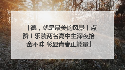 德，就是最美的风景丨点赞！乐陵两名高中生深夜拾金不昧 彰显青春正能量
