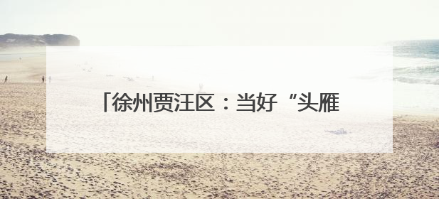 徐州贾汪区：当好“头雁”代表 助力乡村振兴
