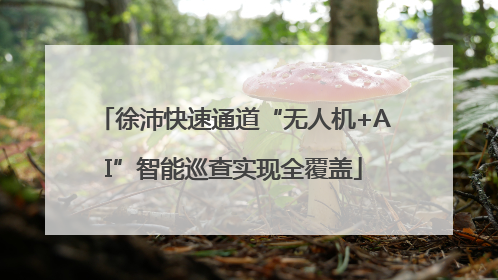徐沛快速通道“无人机+AI”智能巡查实现全覆盖