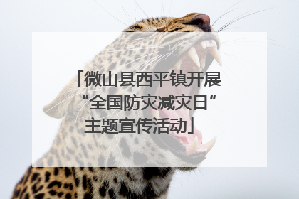 微山县西平镇开展“全国防灾减灾日”主题宣传活动
