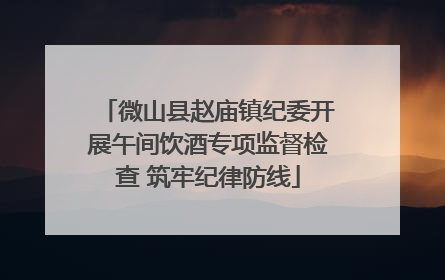 微山县赵庙镇纪委开展午间饮酒专项监督检查 筑牢纪律防线