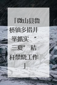 微山县鲁桥镇多措并举抓实 “三夏” 秸秆禁烧工作