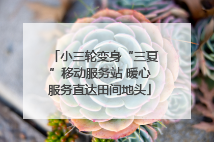 小三轮变身“三夏”移动服务站 暖心服务直达田间地头