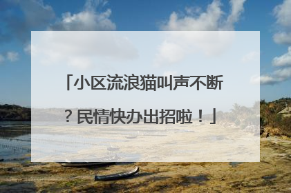 小区流浪猫叫声不断？民情快办出招啦！