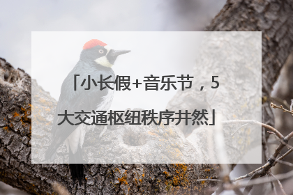 小长假+音乐节，5大交通枢纽秩序井然