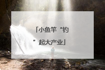 小鱼竿“钓”起大产业