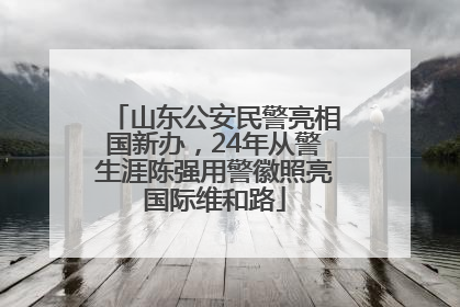 山东公安民警亮相国新办，24年从警生涯陈强用警徽照亮国际维和路