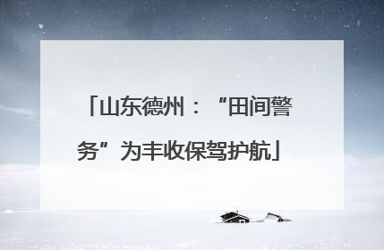 山东德州：“田间警务”为丰收保驾护航