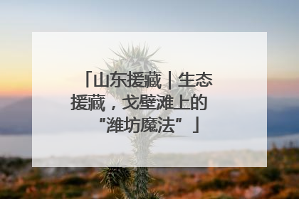 山东援藏｜生态援藏，戈壁滩上的“潍坊魔法”
