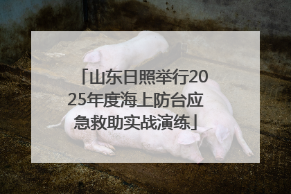 山东日照举行2025年度海上防台应急救助实战演练