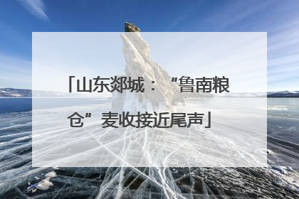 山东郯城：“鲁南粮仓”麦收接近尾声