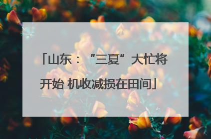 山东：“三夏”大忙将开始 机收减损在田间
