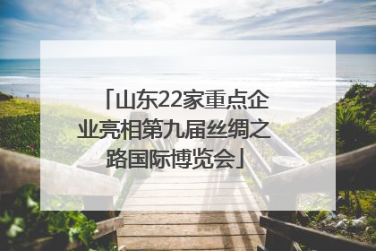 山东22家重点企业亮相第九届丝绸之路国际博览会