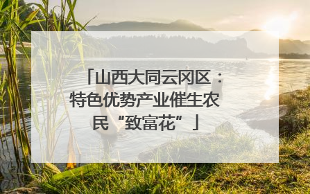 山西大同云冈区：特色优势产业催生农民“致富花”