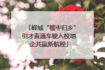 峄城“榴枣归乡”引才直通车驶入校地企共赢新航程