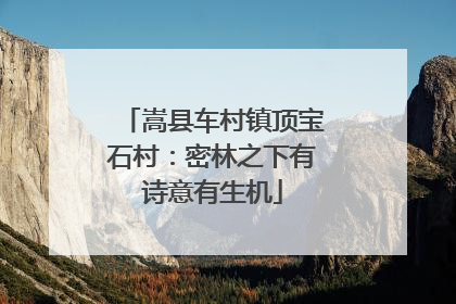 嵩县车村镇顶宝石村：密林之下有诗意有生机